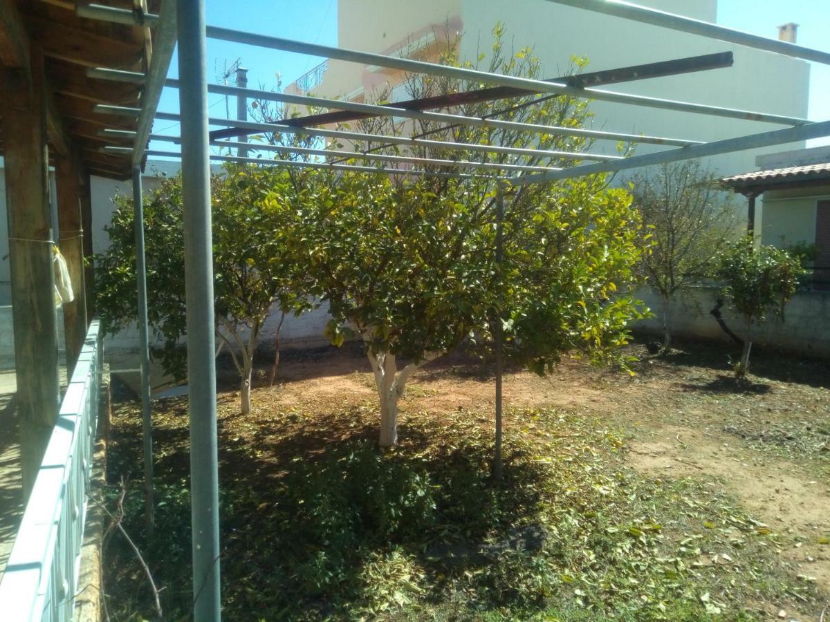 Vangelis House Near Athens Airport Луца Экстерьер фото